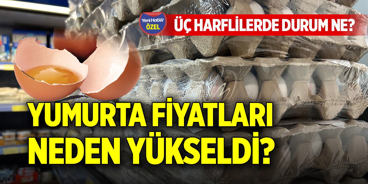 Yumurta fiyatları neden yükseldi? Üç harflilerde durum ne?