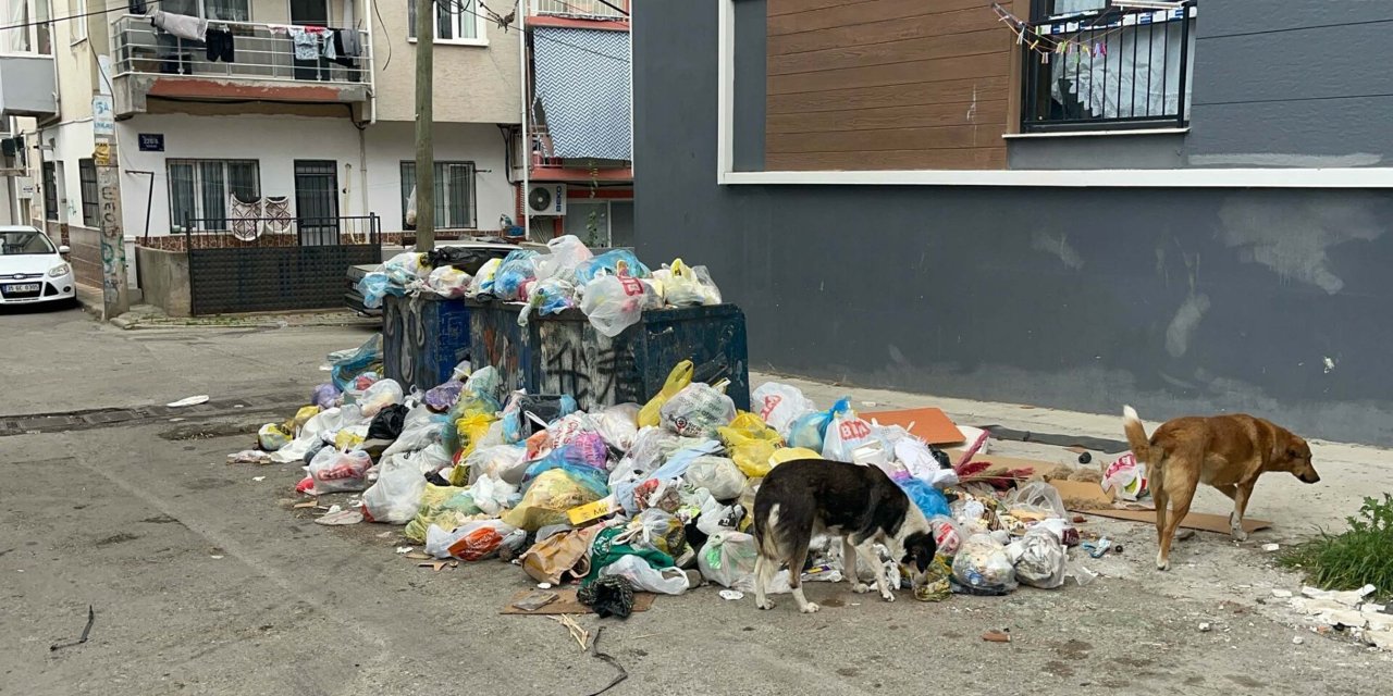Grev kararı sonrası sokaklarda çöp yığınları oluştu