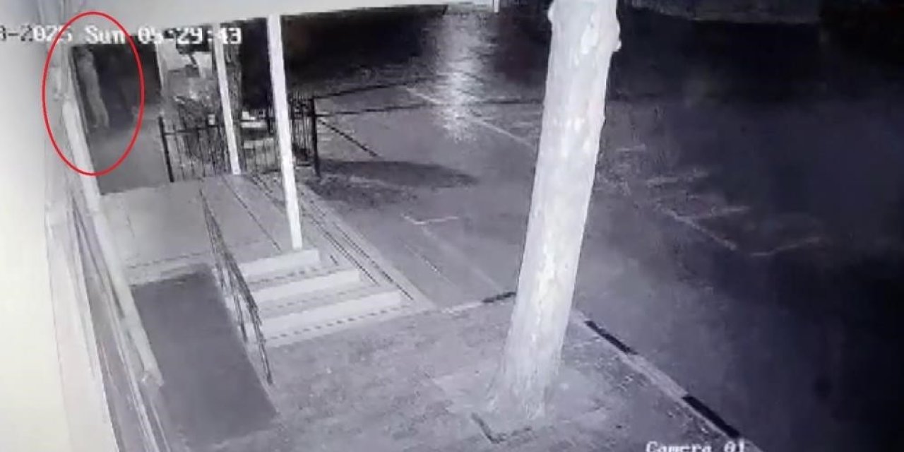 Atatürk büstünü çalan hırsız tutuklandı
