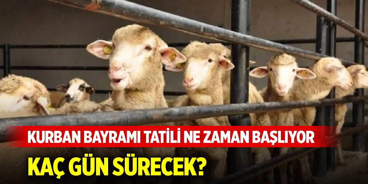 2025 Kurban Bayramı tatili ne zaman başlıyor, kaç gün sürecek? İşte detaylar