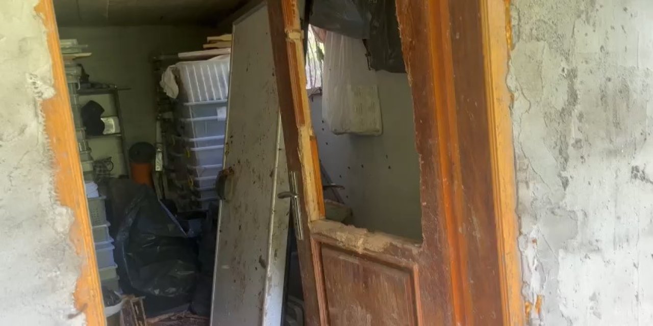 Ayılar 30 eve zarar verdi