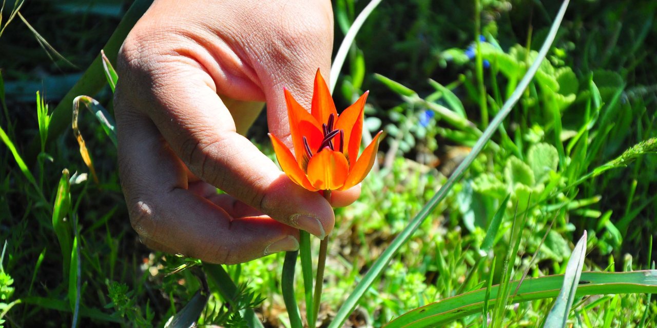 Koparmanın cezası 557 bin TL!