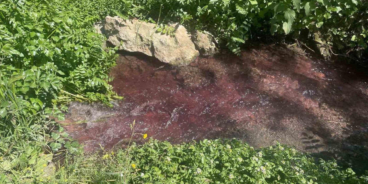 Turşu sulu renkli dereye çiftçiler tepkili