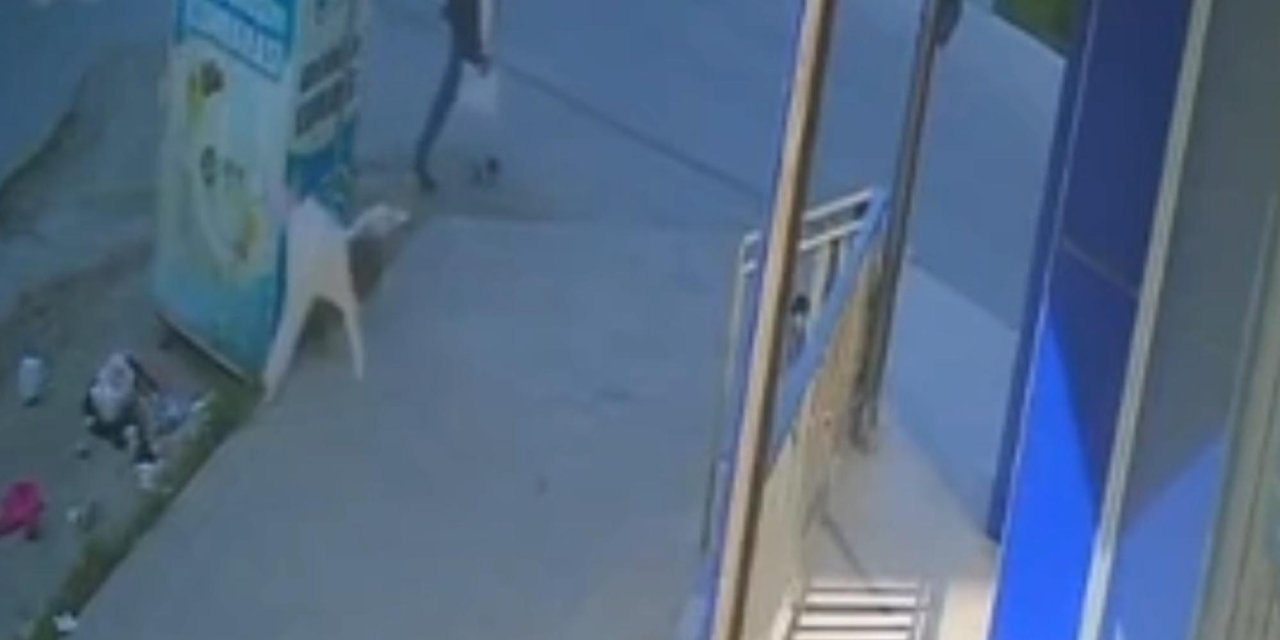 Beşinci kattan düşen bebek öldü