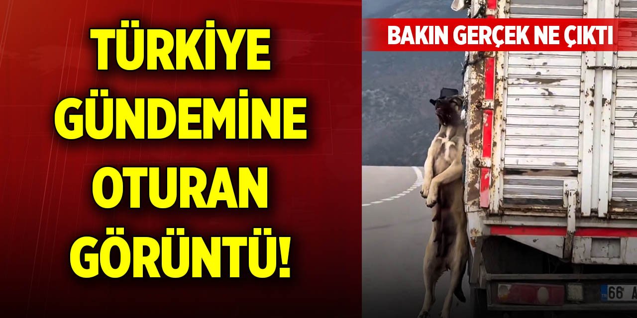 Türkiye gündemine oturan görüntü! Bakın gerçek ne çıktı