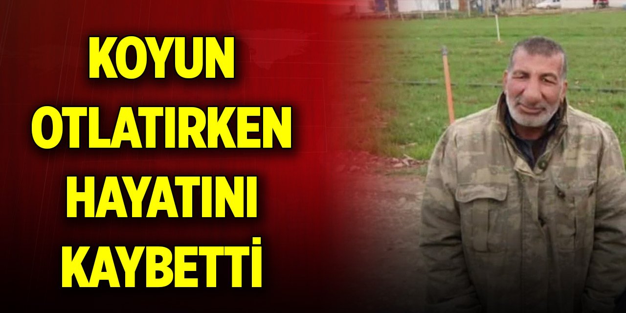 Koyun otlatırken otomobil çarptı, hayatını kaybetti