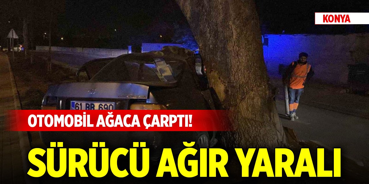 Konya'da merkezde otomobil ağaca çarptı! Sürücü ağır yaralı, kimliği belli oldu