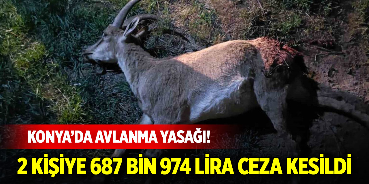 Konya’da avlanma yasağı! 2 kişiye 687 bin 974 lira ceza kesildi