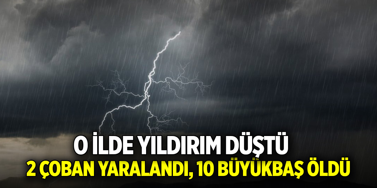 O ilde yıldırım düştü; 2 çoban yaralandı, 10 büyükbaş öldü