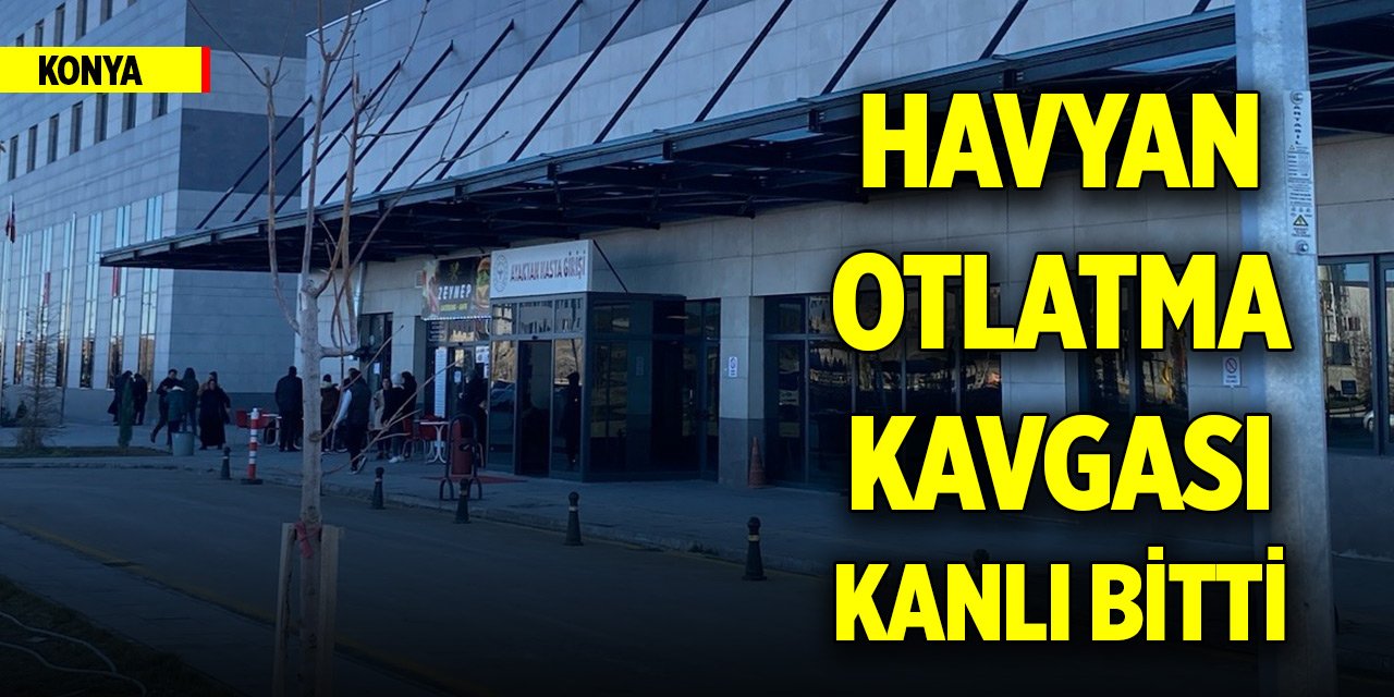 Konya'da havyan otlatma kavgası kanlı bitti