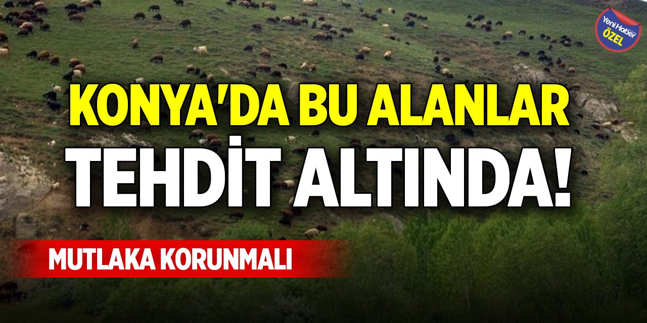 Konya'da bu alanlar tehdit altında! Mutlaka korunmalı