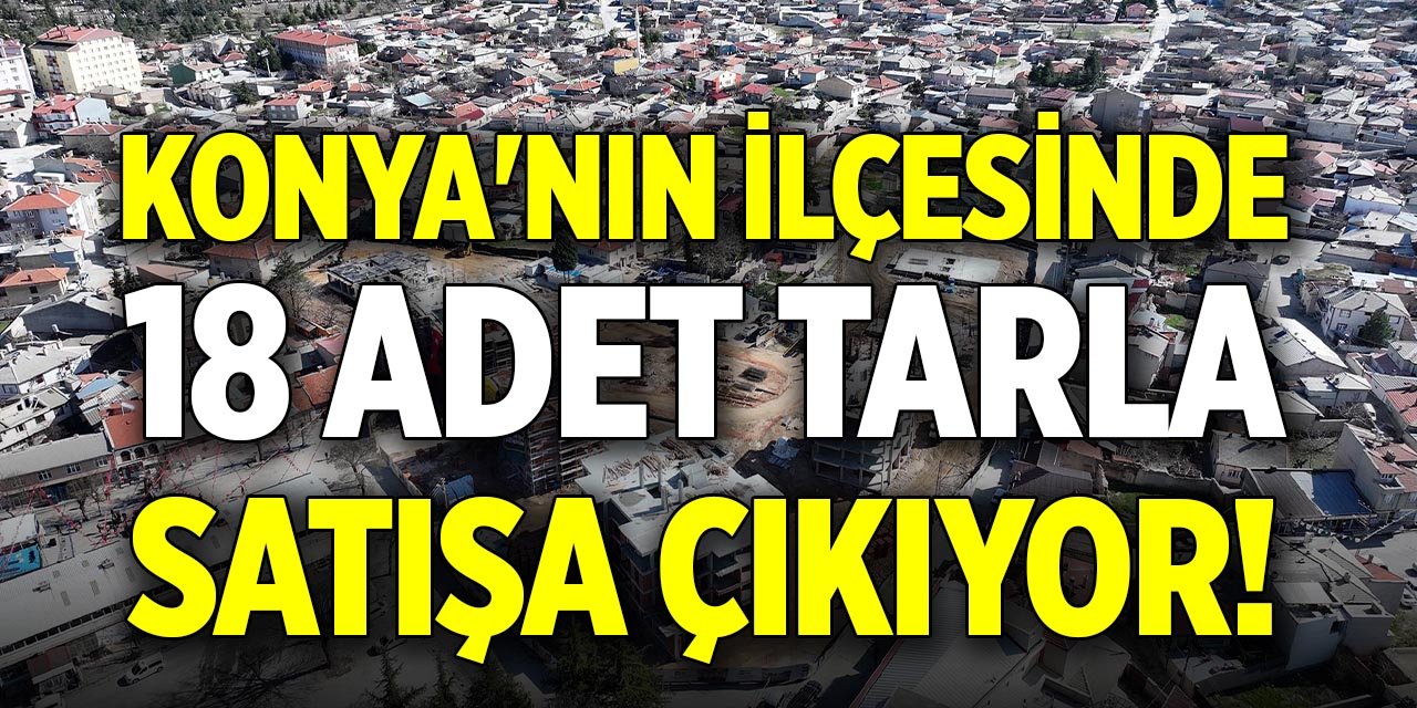 Konya'nın ilçesinde 18 adet tarla satışa çıkıyor!