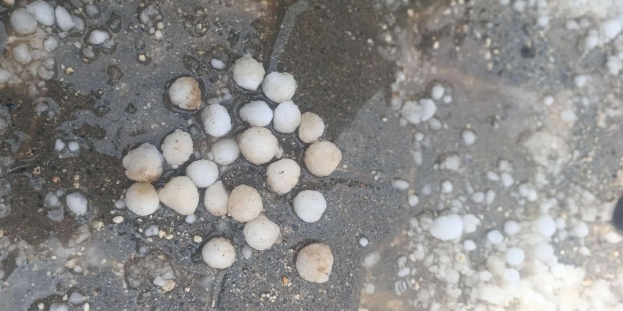 Dolu zarar verdi