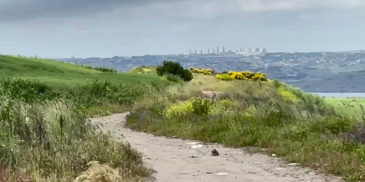 Boş arazide ölü bulundu