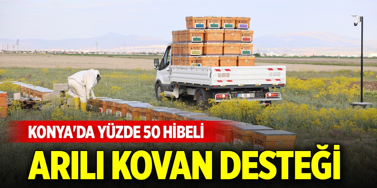 Konya'da yüzde 50 hibeli arılı kovan desteği