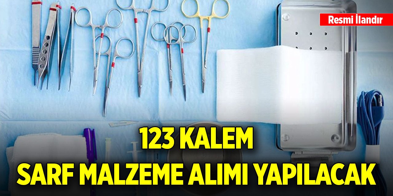 123 kalem sarf malzeme alımı yapılacak