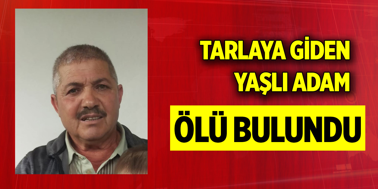 Tarlaya giden yaşlı adam ölü bulundu