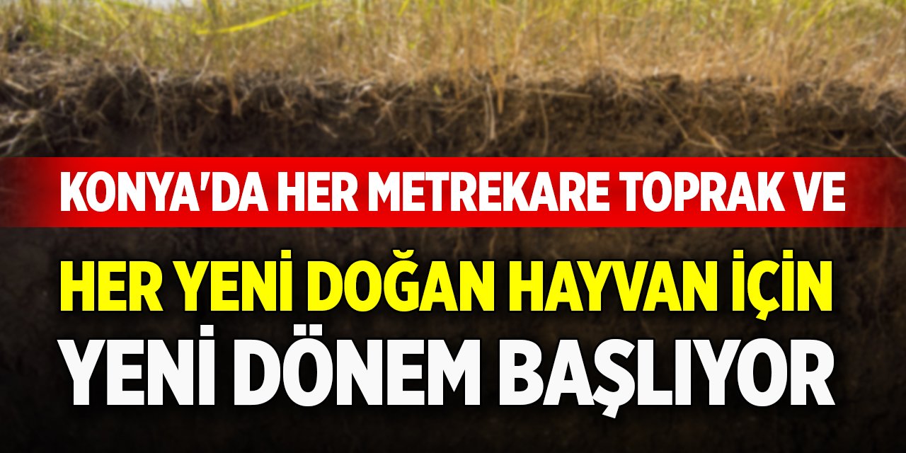 Konya'da her metrekare toprak ve her yeni doğan hayvan için yeni dönem başlıyor