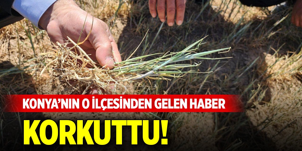 Konya'nın o ilçesinden gelen haber korkuttu