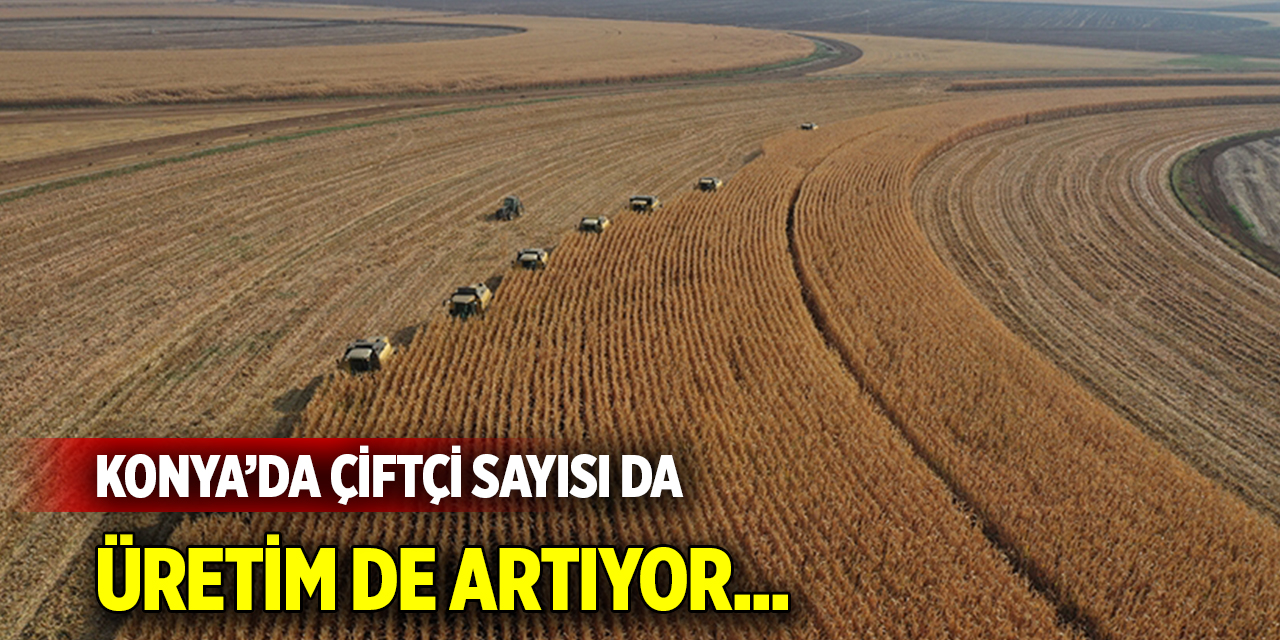 Konya’da Çiftçi Sayısı da Üretim de Artıyor