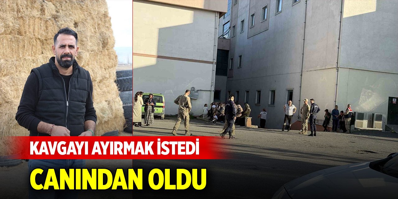 Akrabalar arasında çıkan kavgayı ayırmaya çalışırken canından oldu