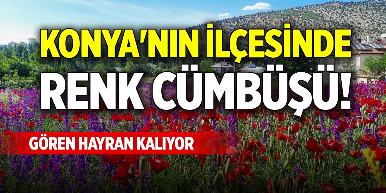 Konya'nın ilçesinde renk cümbüşü! Gören hayran kalıyor
