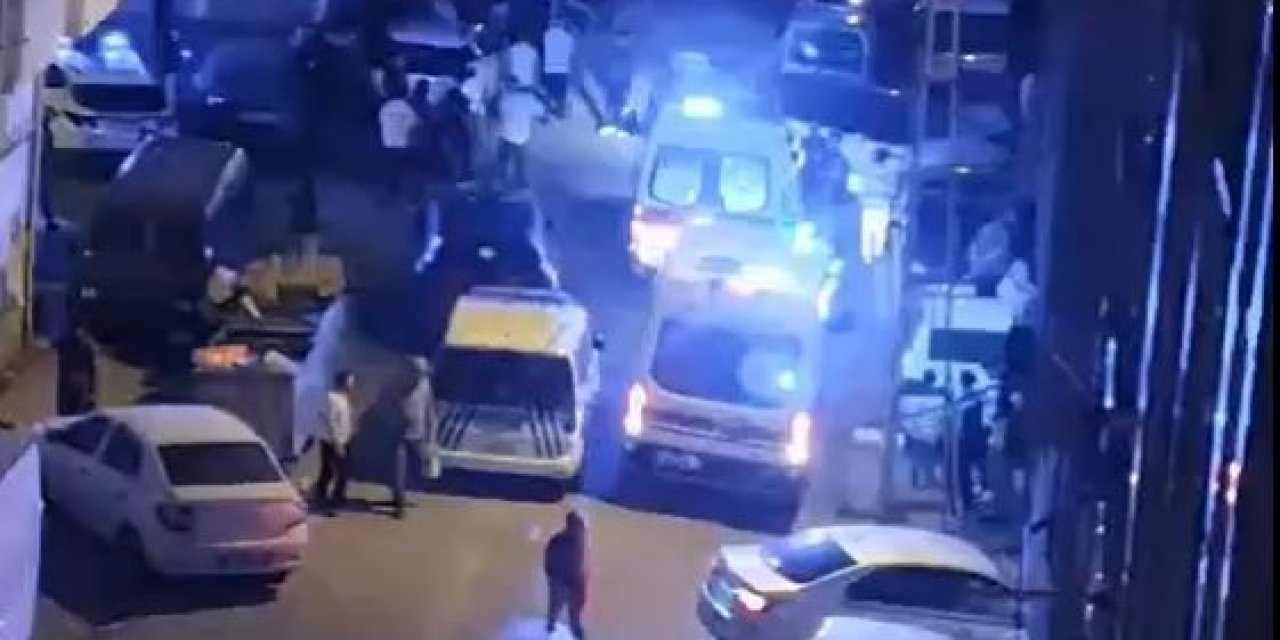 Köpek kavgasında ortalık savaş alanına döndü