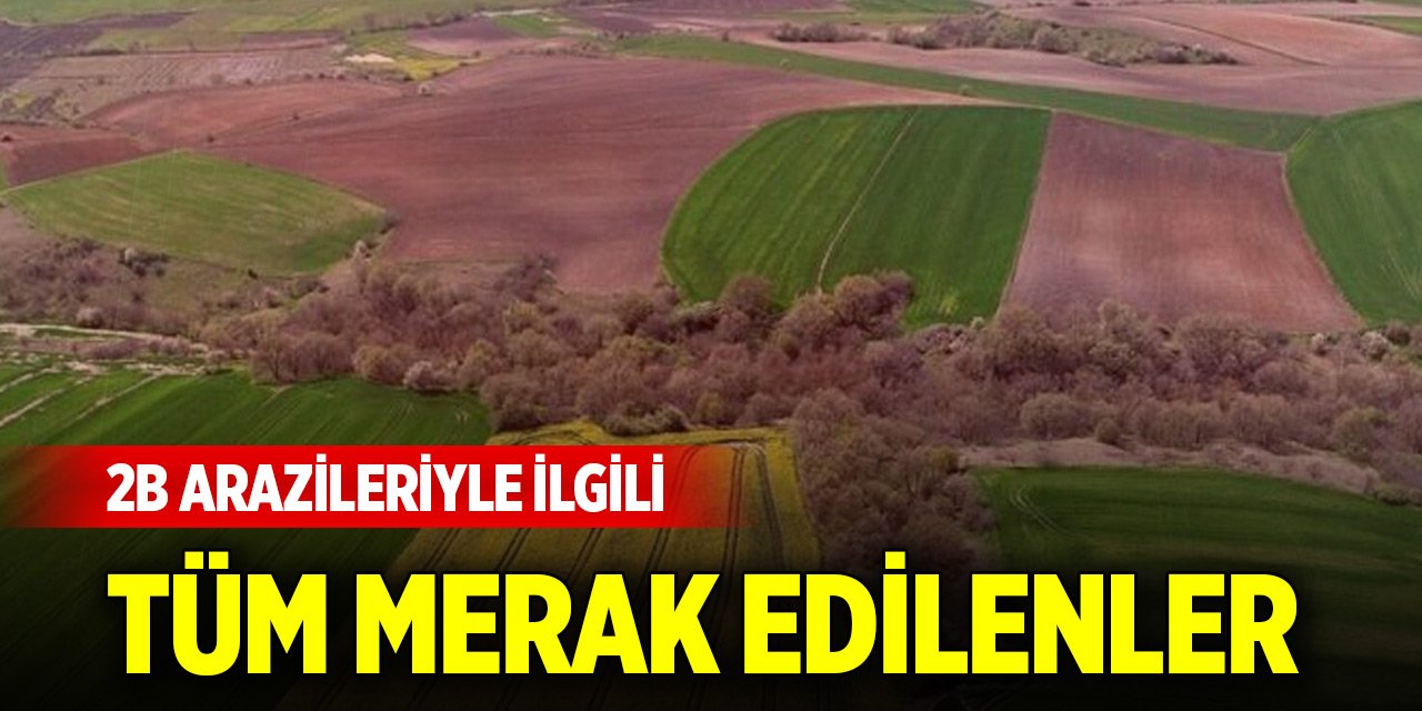 2B arazilerinde mülkiyet hakları ve tapu süreciyle ilgili tüm merak edilenler