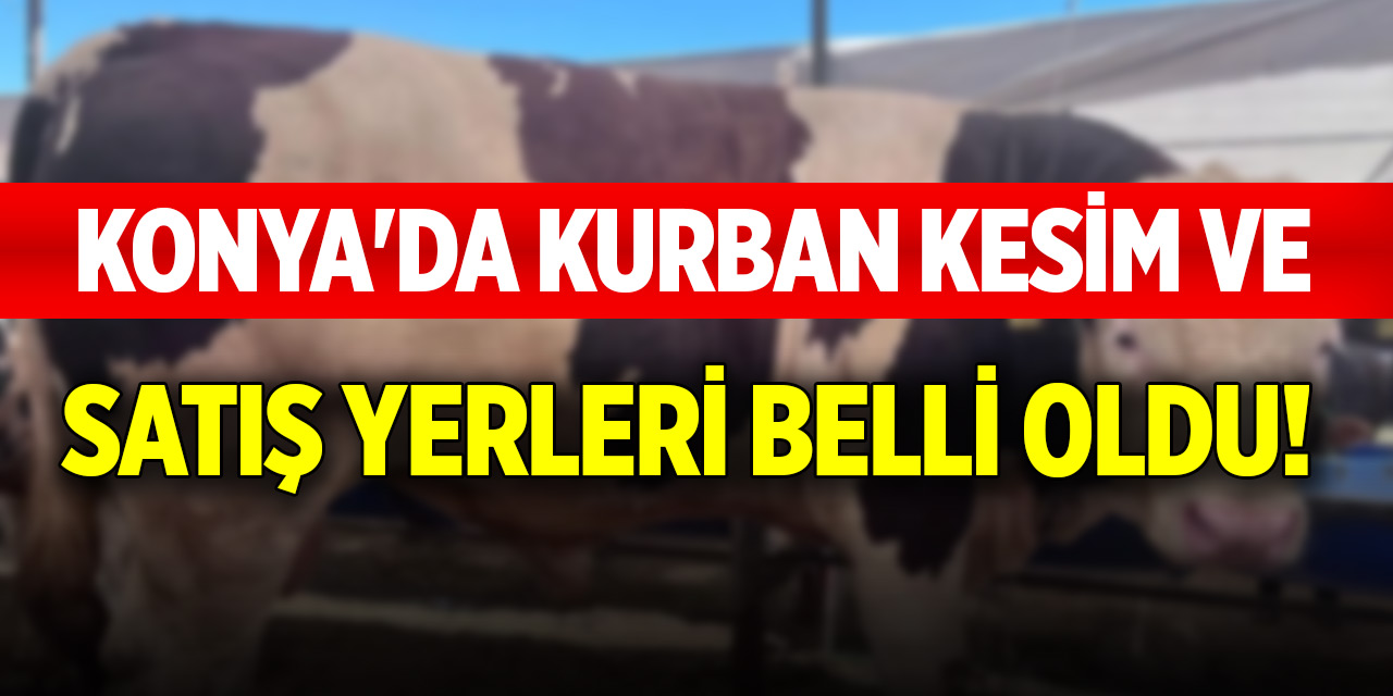 Konya'da kurban kesim ve satış yerleri belli oldu!