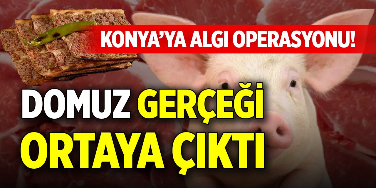 Konya’ya algı operasyonu! Domuz gerçeği ortaya çıktı