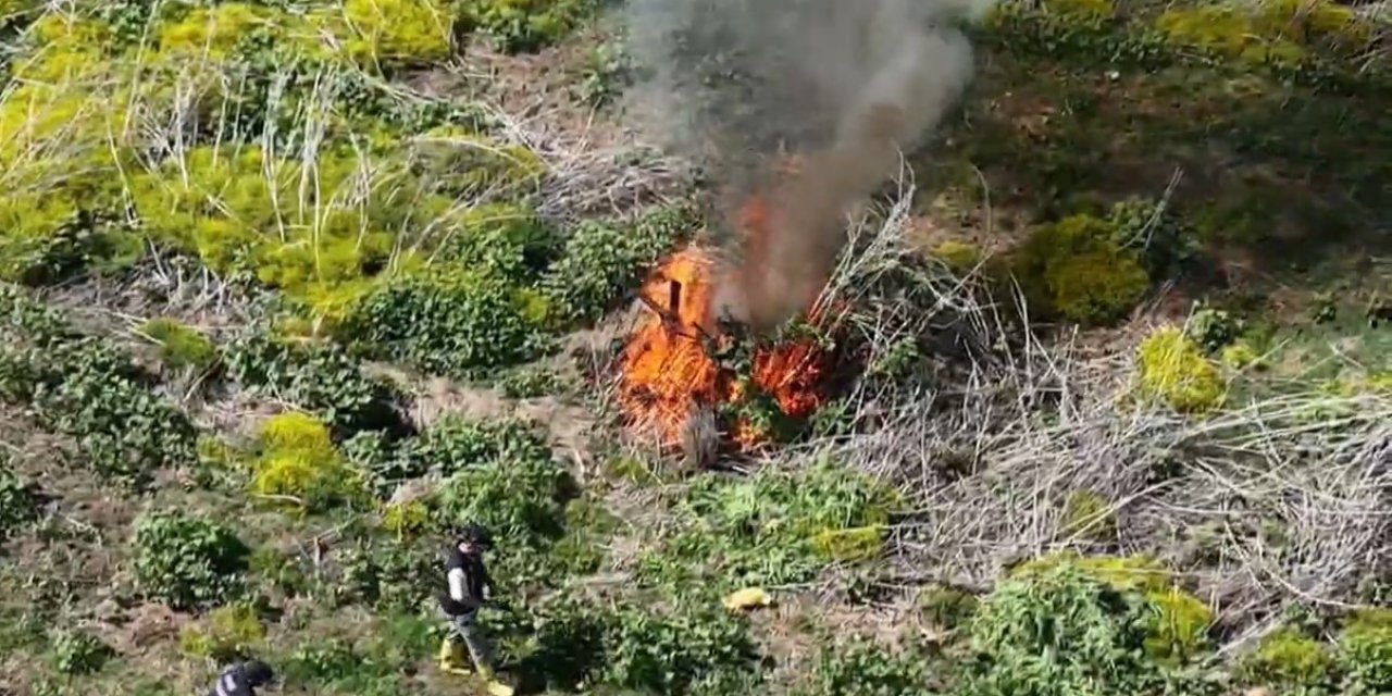 Nehir kenarında tespit edildi! 100 milyon TL değerinde