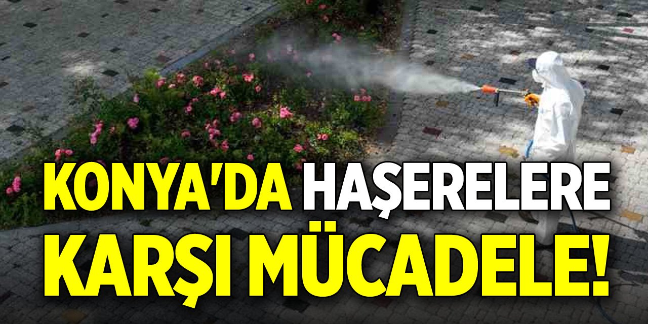 Konya'da haşerelere karşı mücadele