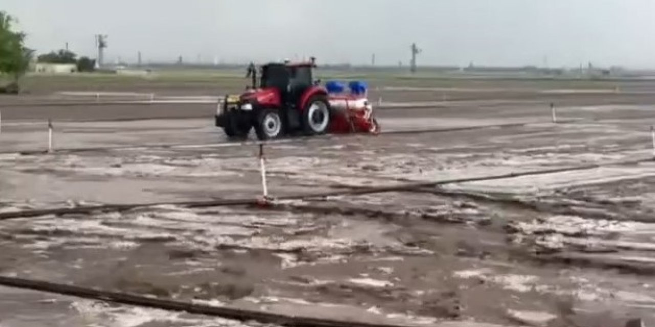 Dolu, ekili alanlara zarar verdi