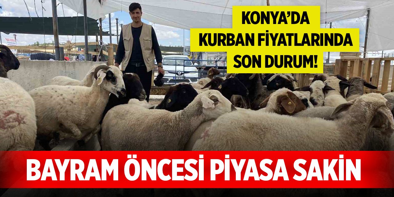 Bayram öncesi piyasa sakin... Konya’da kurban fiyatlarında son durum!