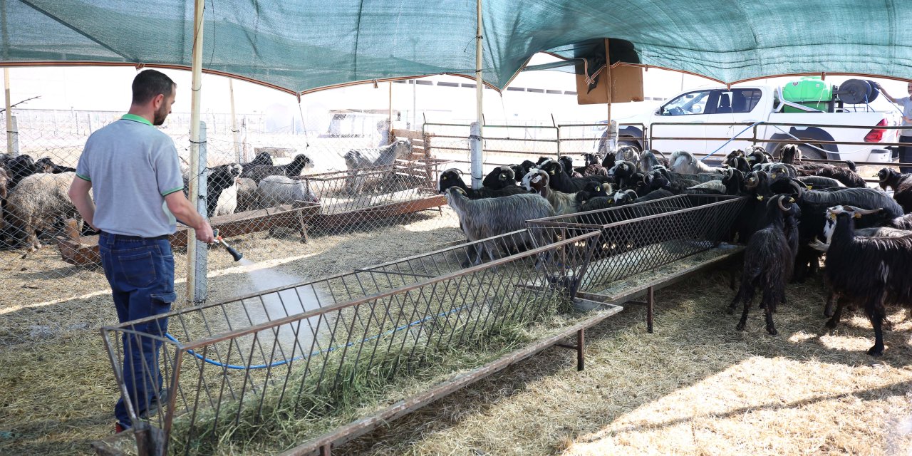 Konya'nın merkez ilçesinde tüm hazırlıklar tamam! Kurban kesim yerleri belli oldu