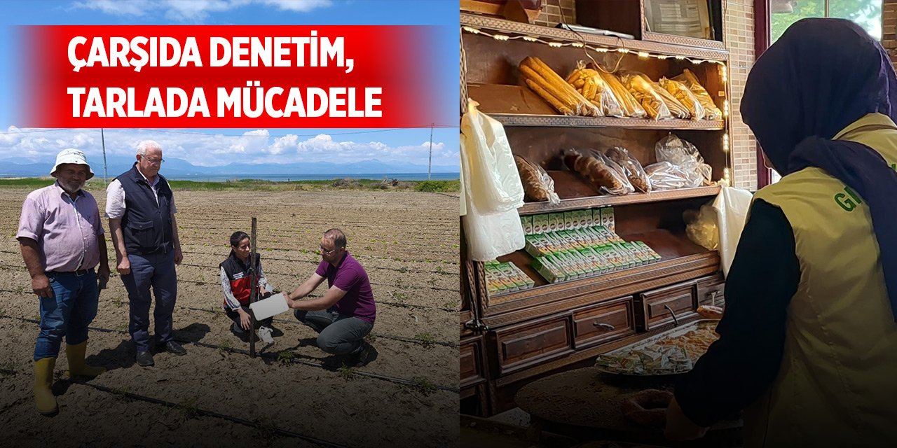 Beyşehir'de çarşıda denetim, tarlada mücadele