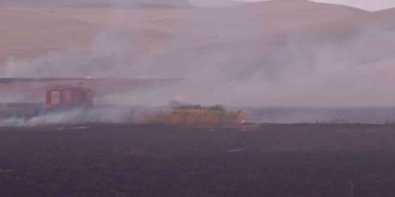Siirt’te buğday tarlasına yıldırım düştü