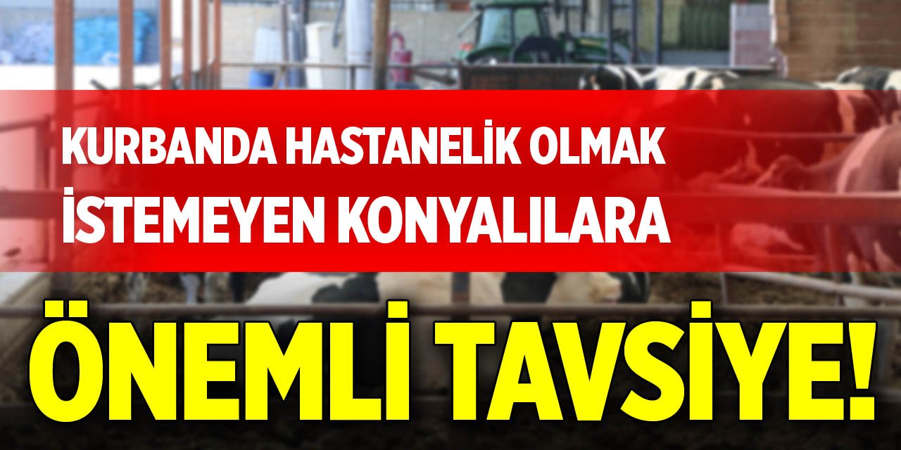 Kurbanda hastanelik olmak istemeyen Konyalılara önemli tavsiye!
