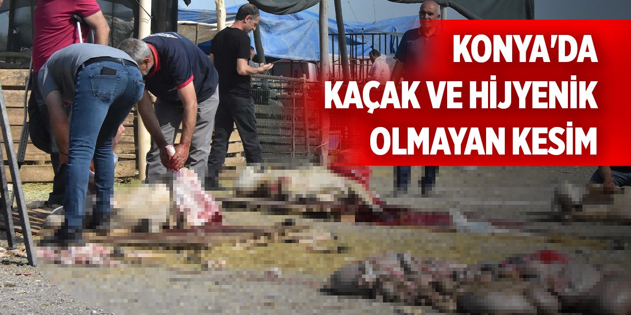 Konya'da kaçak ve hijyenik olmayan kesim