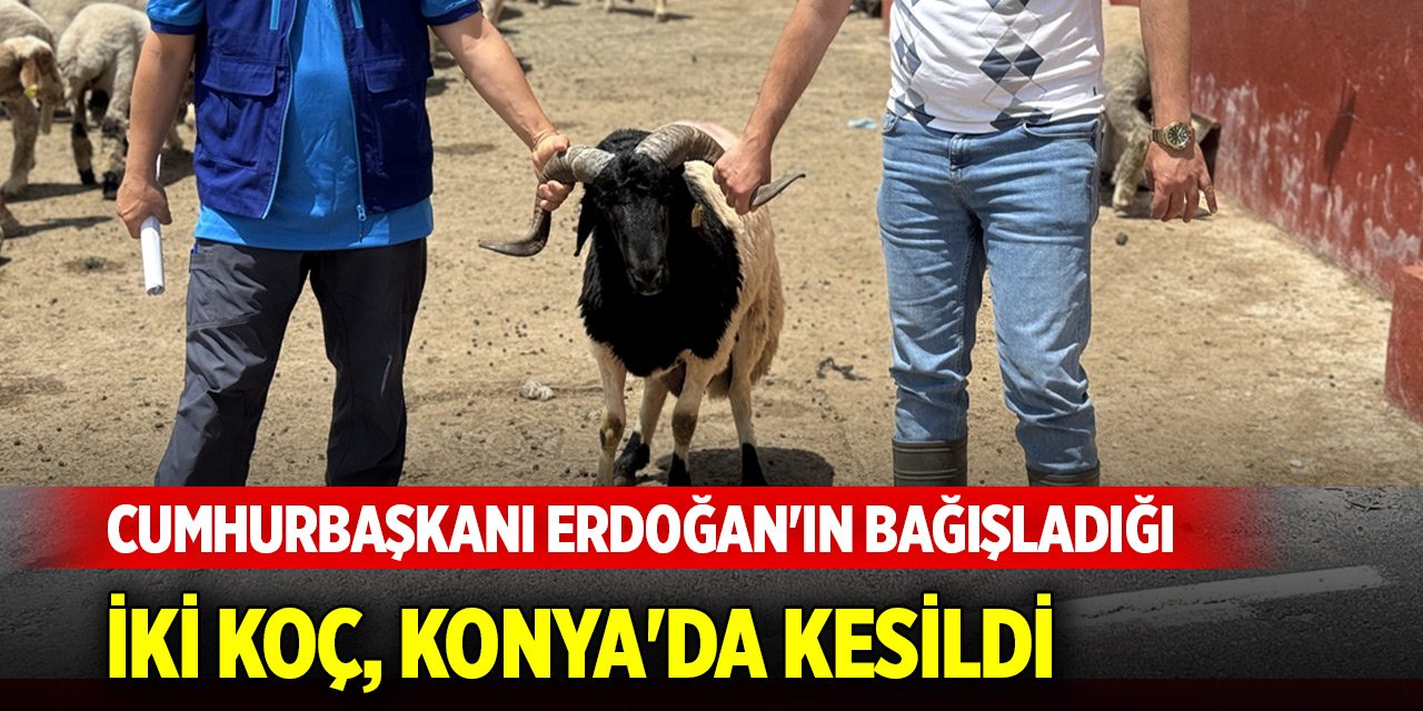 Cumhurbaşkanı Erdoğan'ın bağışladığı kurbanlık iki koç, Konya'da kesildi