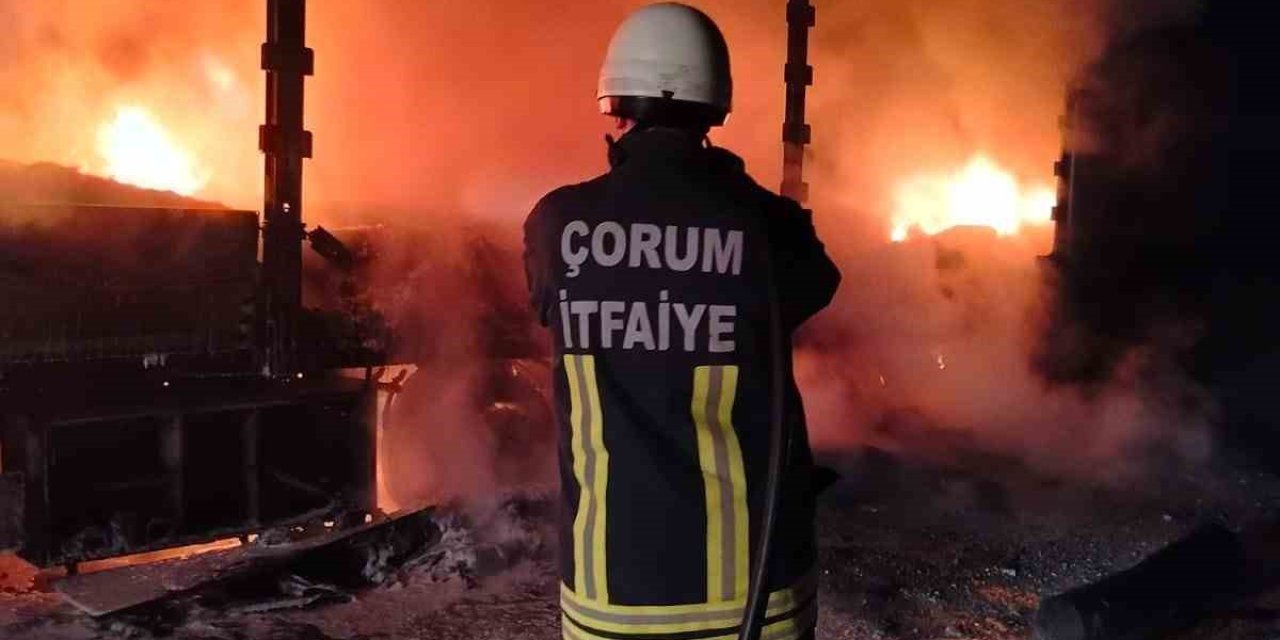Tır alev alev yandı