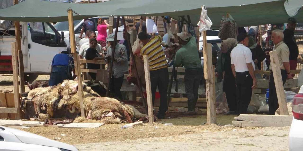 Kurbanlık fiyatları yüzde 40 düştü
