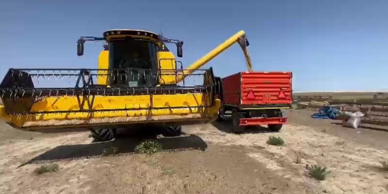 Konya'da tehlike çanları! 300 kilodan 50 kiloya düştü