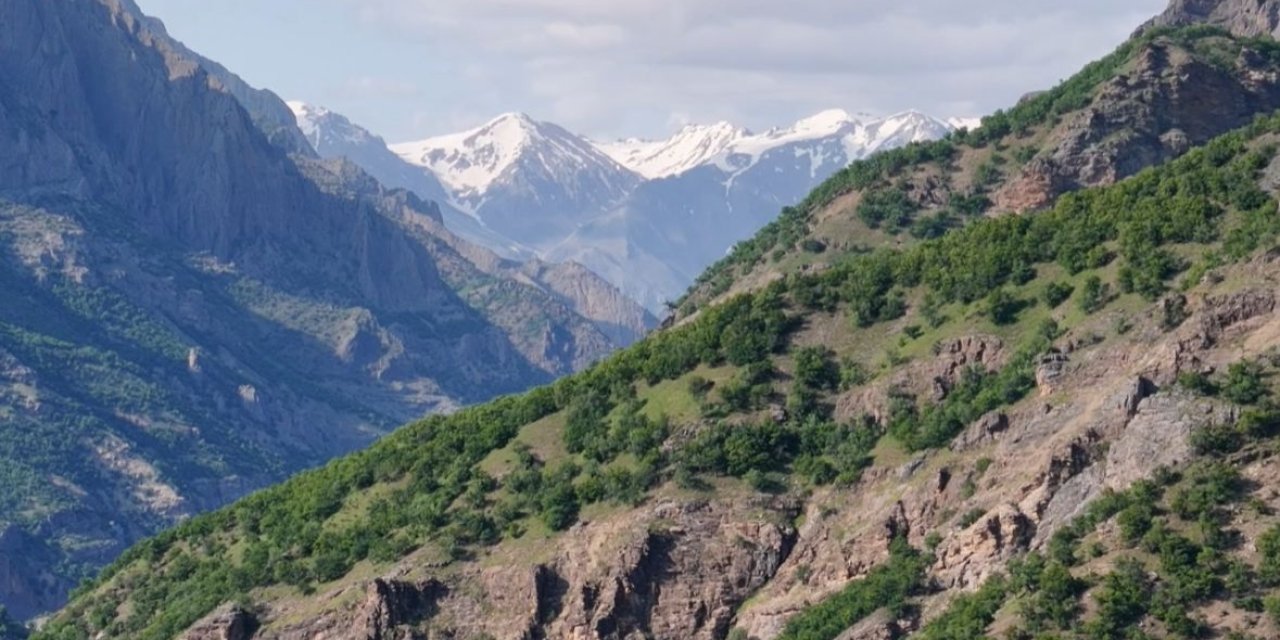 Mantar toplarken kayboldu; cansız bedeni bulundu