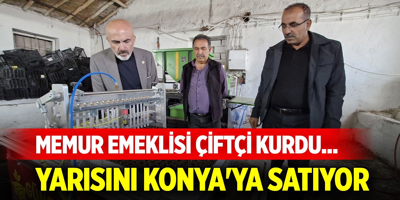 Memur emeklisi çiftçi kurdu... Ürettiklerinin yarısını Konya'ya satıyor