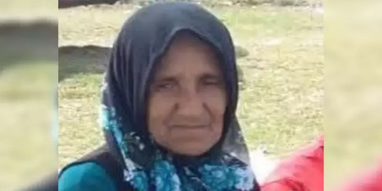 Hafriyat kamyonunun çarptığı yaya öldü