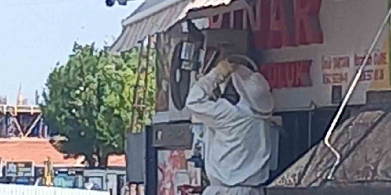 Karapınar’da arı paniği