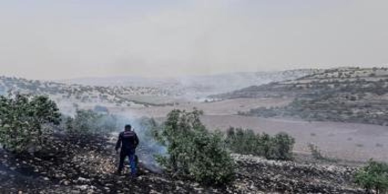 Orman yangını, 2 saatlik çalışmayla kontrol altına alındı