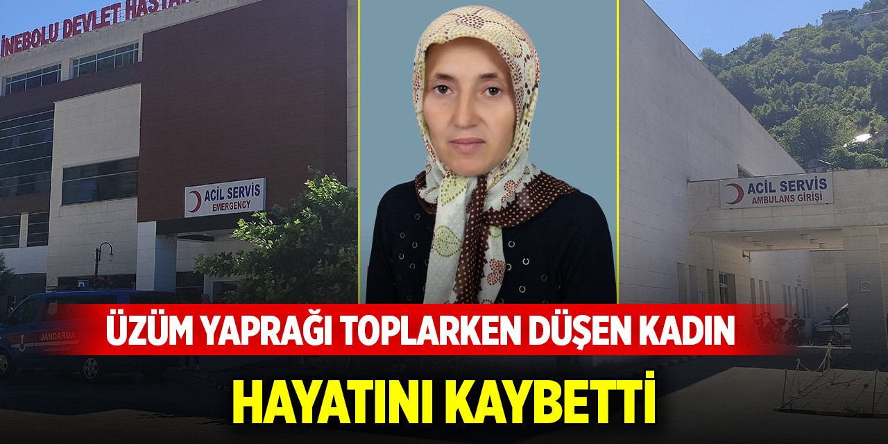 Üzüm yaprağı toplarken düşen 3 çocuk annesi hayatını kaybetti