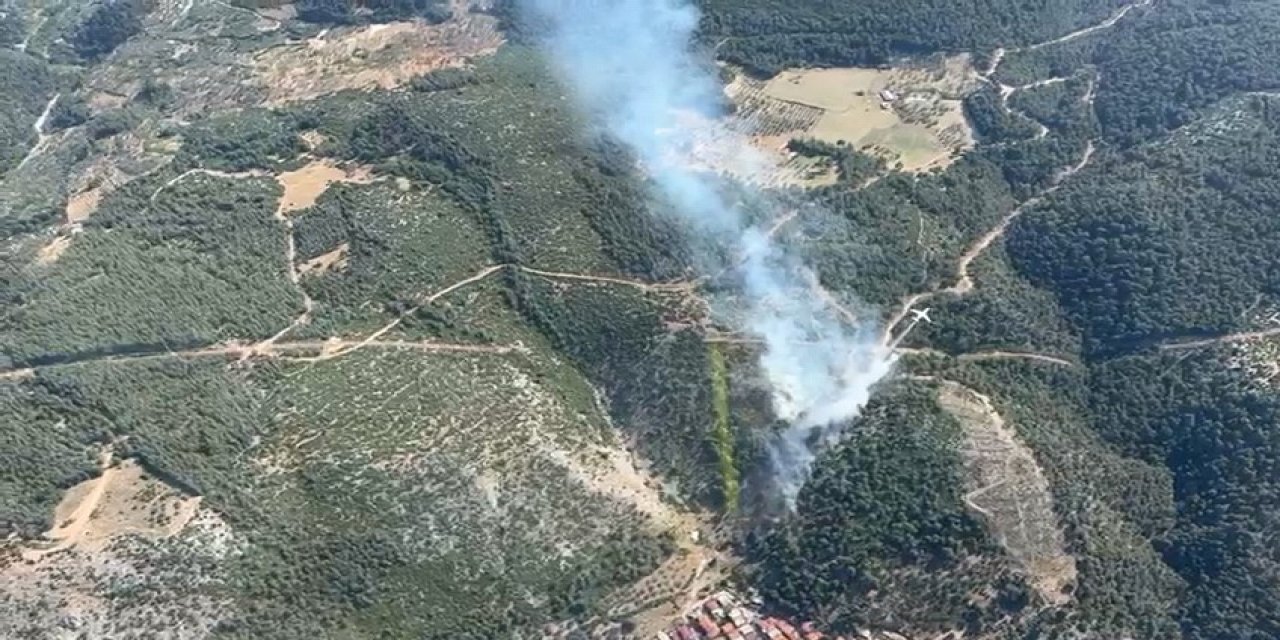 Aynı gün ikinci orman yangını